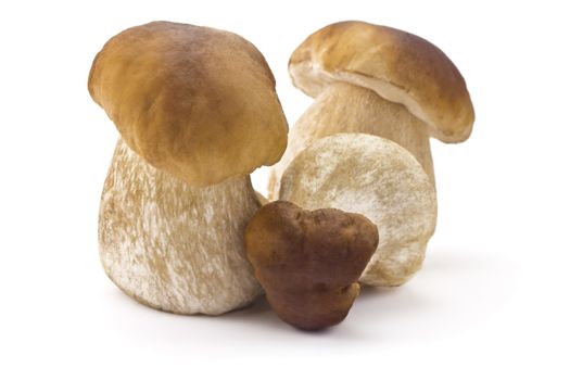 three ceps isolated on a white background