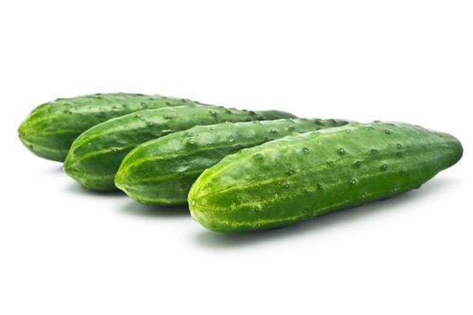 Four fresh juicy cucumber on white background