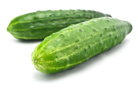 Two juicy fresh cucumber on a white background