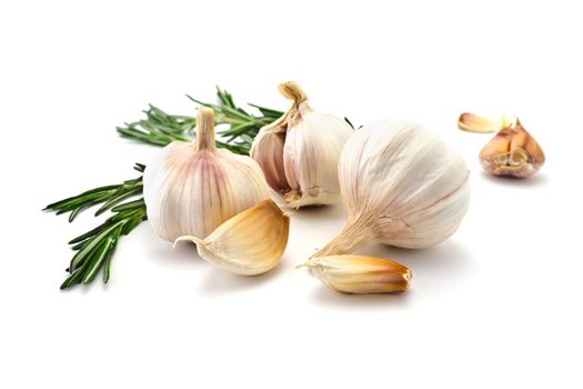 Garlic and rosemary and bay leaf isolated on white background