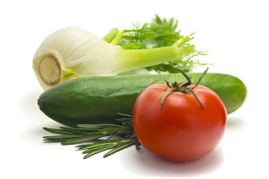 fennel ripe tomato juicy cucumber
fennel with tomato and cucumber