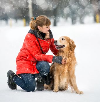 girl with golden retriever dog breed in winter