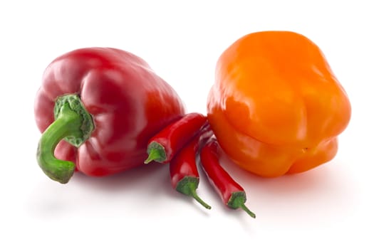 sweet and spicy peppers isolated on white background