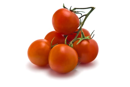 sprig of of ripe, juicy cherry tomatoes on a white background