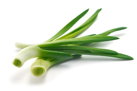 feathers of young green juicy onion