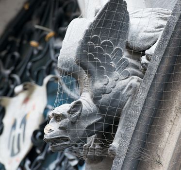 Gothic gargoyle on New Town Hall (Munich, Germany).