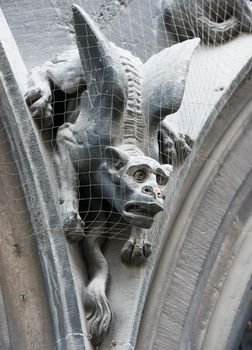 Gothic gargoyle on New Town Hall (Munich, Germany).