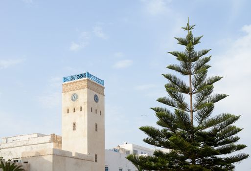 Clock tower and tree in Essaouira, Morocco