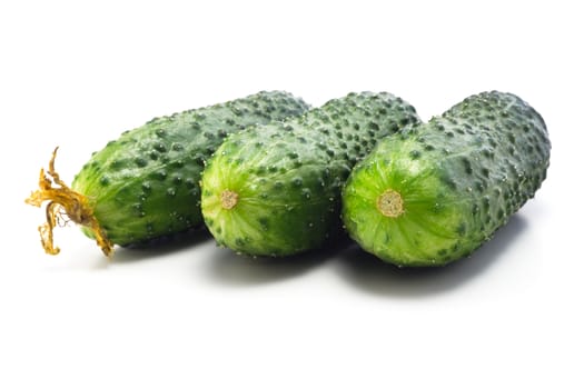 Juicy fresh and very fragrant young cucumbers