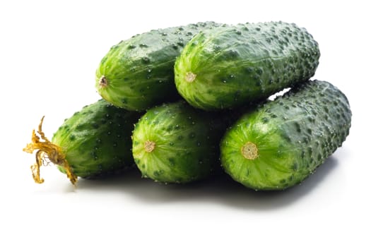 Juicy fresh and very fragrant young cucumbers