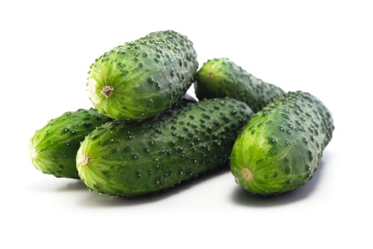 Juicy fresh and very fragrant young cucumbers