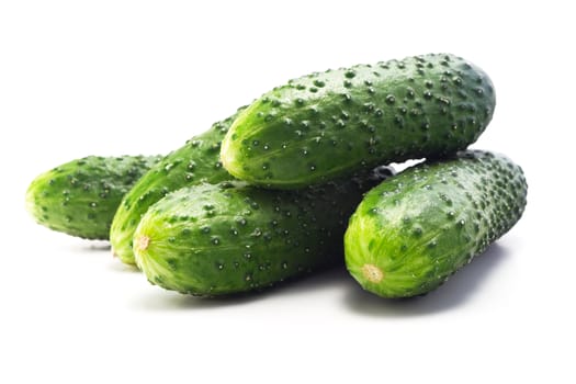 Juicy fresh and very fragrant young cucumbers