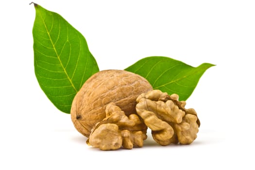 one walnuts, of kernels belonging and leaves on a white background