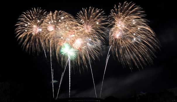 Colorful fireworks in the night sky 