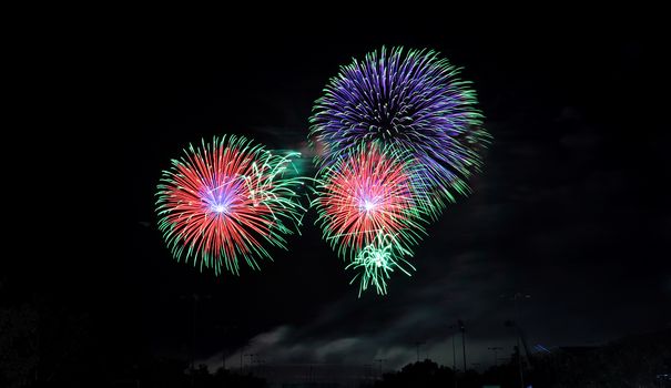 Colorful fireworks in the night sky 