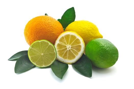 citrus on white background 
lime, orange, lemon
halves of lime and lemon
foliage of citrus trees