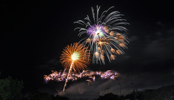 Colorful fireworks in the night sky 