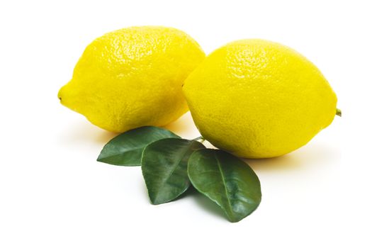 Juicy ripe lemons with leaves isolated on white background