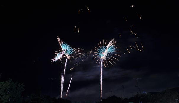 Colorful fireworks in the night sky 