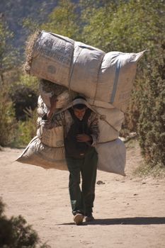 Man carrying large load along a track in the Himalaya Mountains of Nepal
