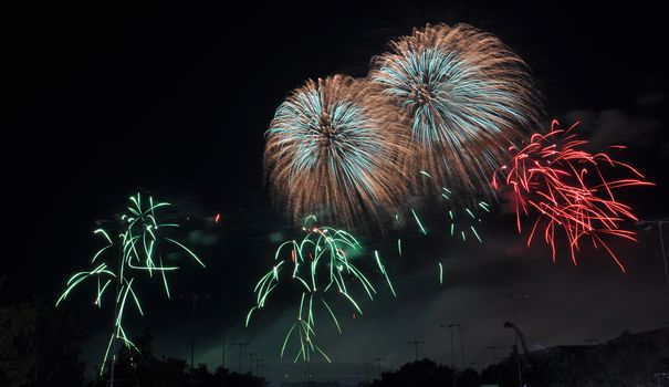 Colorful fireworks in the night sky 