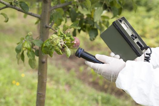 Measuring radiation levels of apple