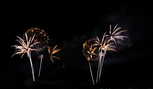 Colorful fireworks in the night sky 