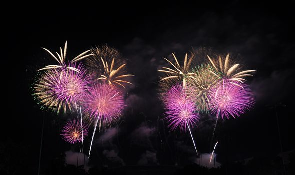 Colorful fireworks in the night sky 