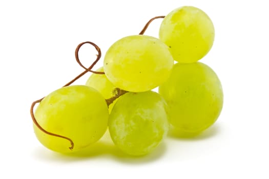 Brush juicy ripe grapes on a white background