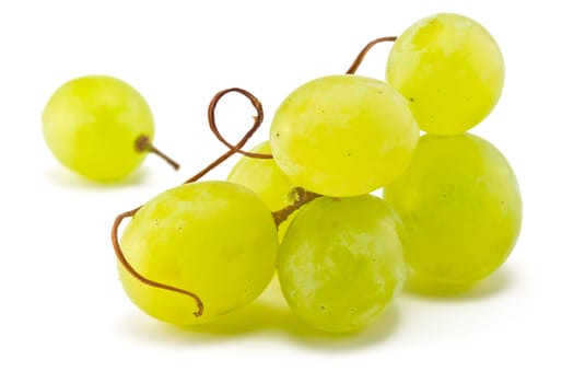 Brush juicy ripe grapes on a white background