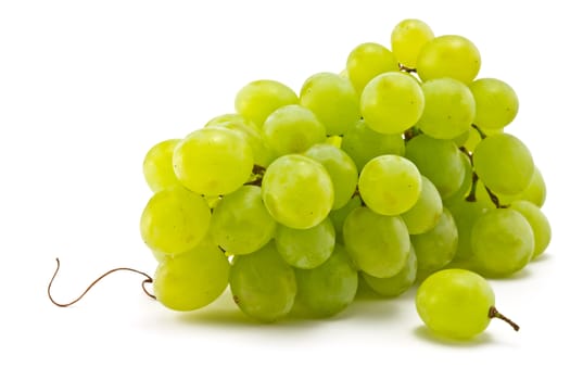 Brush juicy ripe grapes on a white background