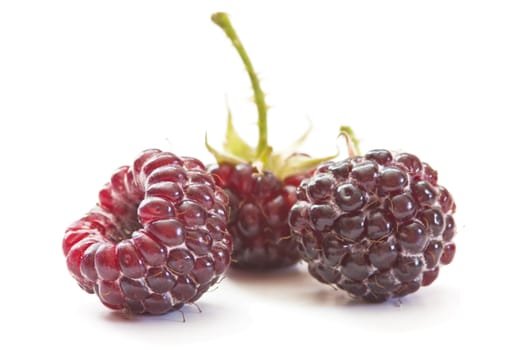 sweet ripe raspberries on a white background