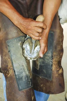 Male farrier cleaning a horse hoof