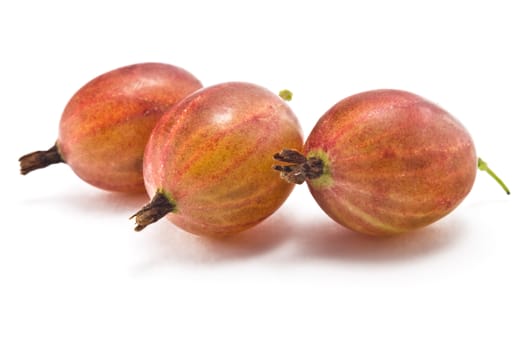 gooseberry fruit ripe and juicy on a white background