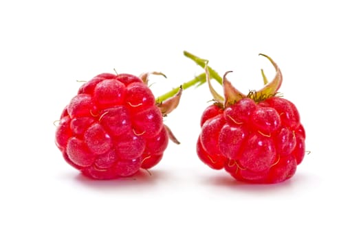 sweet ripe raspberries on a white background