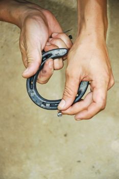 Male farrier show horseshoe on hand