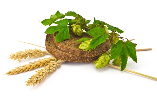 sliced bread, hops cones and spikelets on a white background