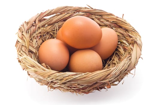 eggs in a nest isolated on a white background