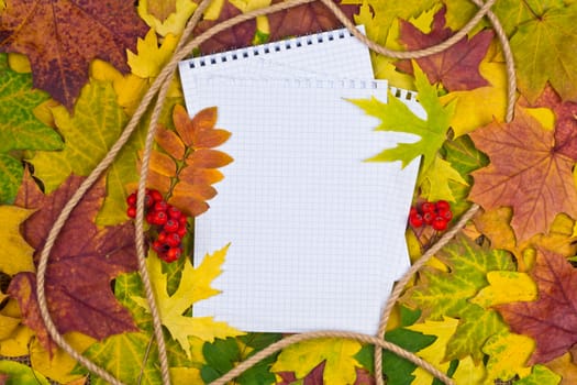 white paper for text on a colorful background of autumn leaves