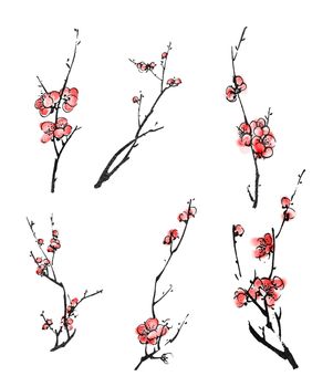 Collection of Chinese ink painting, plum blossom branches on white background.