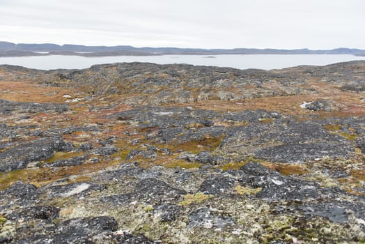 Arctic landscape around Aasiaat in Greenland with rocky surface and sea in summer