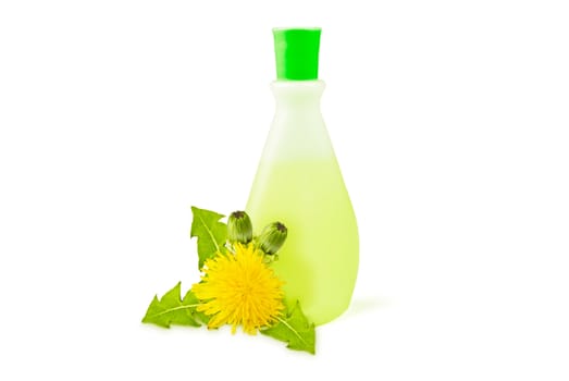 translucent vial, yellow dandelions with green leaves and buds on a white background