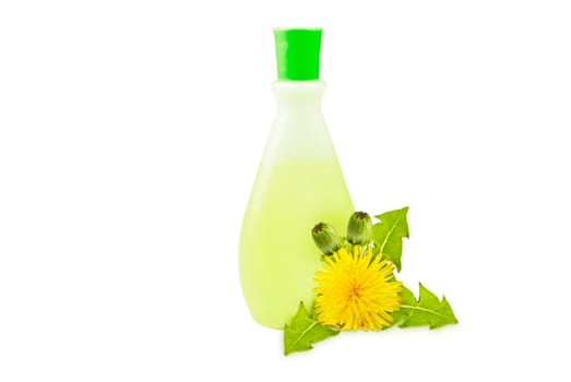translucent vial, yellow dandelions with green leaves and buds on a white background
