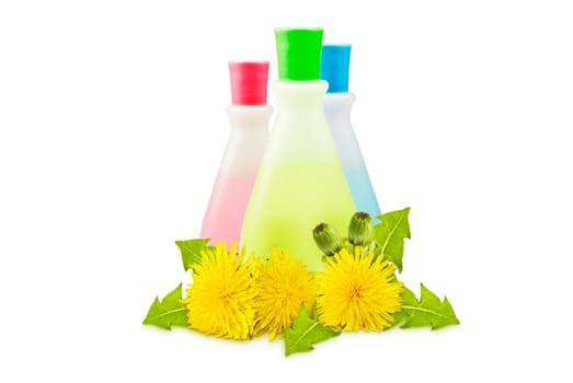 three translucent vial, yellow dandelions with green leaves and buds on a white background