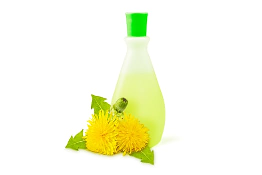 translucent vial, yellow dandelions with green leaves and buds on a white background