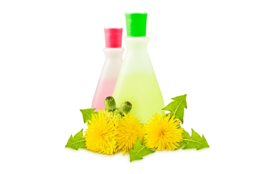 two translucent vial, yellow dandelions with green leaves and buds on a white background