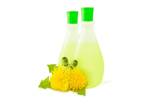 two translucent vial, yellow dandelions with green leaves and buds on a white background