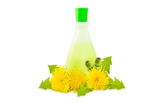 translucent vial, yellow dandelions with green leaves and buds on a white background