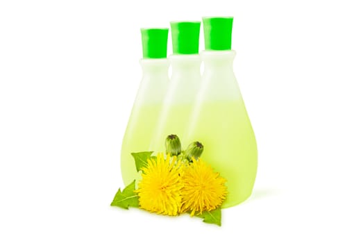  three translucent vial, yellow dandelions with green leaves and buds on a white background