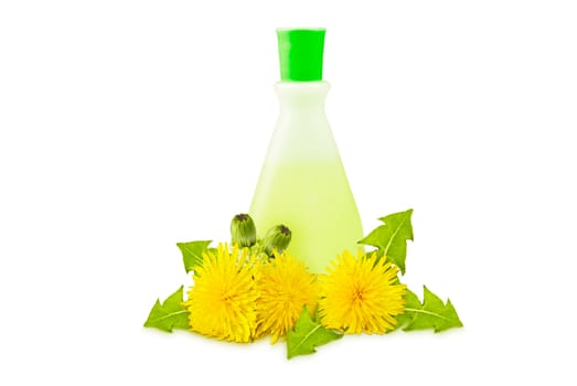 translucent vial, yellow dandelions with green leaves and buds on a white background